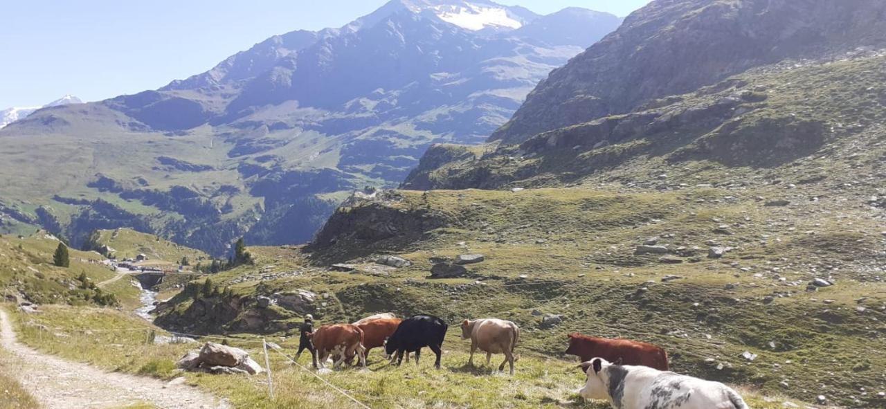 Casa Giulia Lägenhet Bormio Exteriör bild